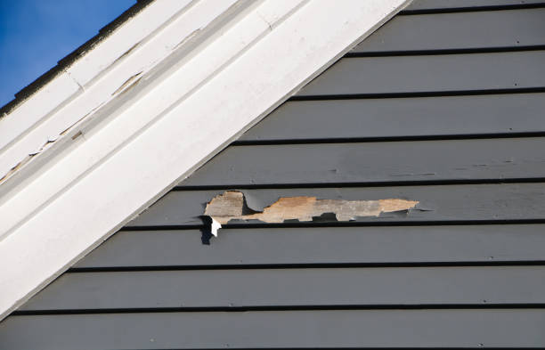 Storm Damage Siding Repair in Julian, CA